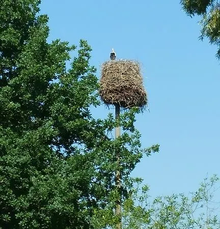 아파트 Ferienwohnung 